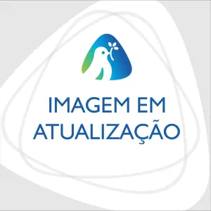 Paliteiro Plast Erca